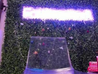 hotfallingdevil — Chaturbate recorded stream image, 10.12.2025 09:30