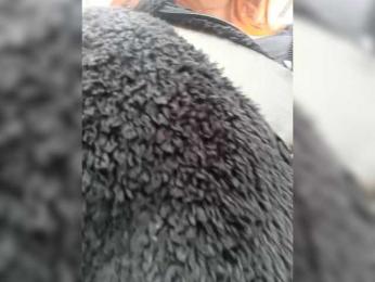 Cocochanell — Bongacams recorded stream screenshot (15 Dec 2025)