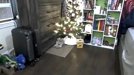 AverageRose — Stripchat recorded stream screenshot (15 Dec 2025)