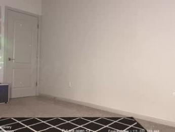 petitebrat — Chaturbate recorded stream screenshot (22 Dec 2025)