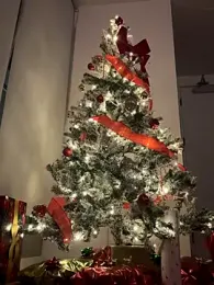 Your_Paris — Stripchat recorded stream image, 23.12.2025 22:10