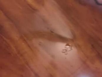 im_jessica_cherry — Chaturbate recorded stream screenshot (29 Dec 2025)