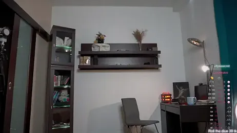 VIktorSecret — Stripchat recorded stream screenshot (29 Dec 2025)