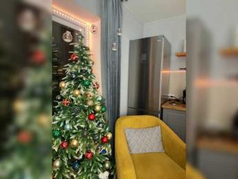 OAO_Sofi — Bongacams recorded stream image, 29.12.2025 18:40