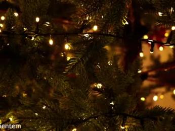 ms_seductive — Chaturbate recorded stream image, 30.12.2025 16:00