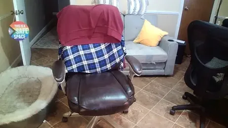 superbearboss — Stripchat recorded stream screenshot (31 Dec 2025)