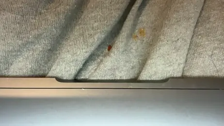 LucyLuxee19 — Stripchat recorded stream screenshot (03 Jan 2026)