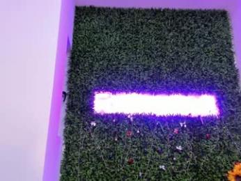 hotfallingdevil — Chaturbate recorded stream image, 10.01.2026 06:00