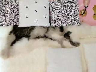 maryelle — Camsoda recorded stream image, 10.01.2026 21:40