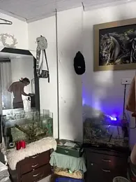 CRAZY-BOY99 — Stripchat recorded stream screenshot (11 Jan 2026)