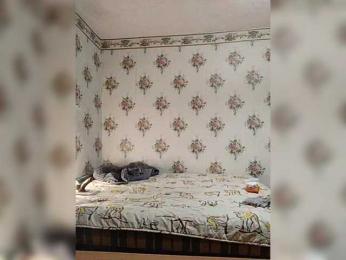 Alisa-33 — Bongacams recorded stream image, 12.01.2026 16:50