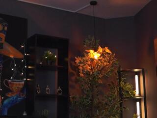 Evelyn Evy — Flirt4free recorded stream image, 12.01.2026 19:40