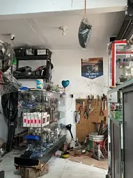 Paul22cm- — Stripchat recorded stream screenshot (16 Jan 2026)