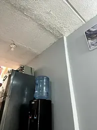 charlotte_stevenss_ — Stripchat recorded stream screenshot (17 Jan 2026)