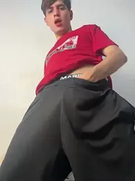 Naim_TheKing — Stripchat recorded stream image, 19.01.2026 00:30