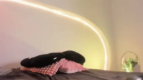 katiepeach_ — Stripchat recorded stream image, 19.01.2026 12:00
