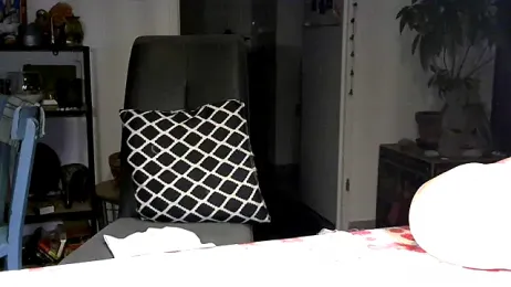 frenchblackc31 — Stripchat recorded stream screenshot (24 Jan 2026)