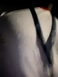 Petrossa — Stripchat recorded stream screenshot (26 Jan 2026)