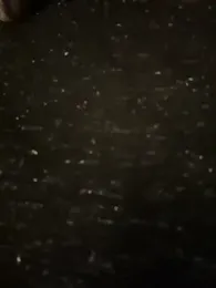 Novababy18 — Stripchat recorded stream screenshot (27 Jan 2026)