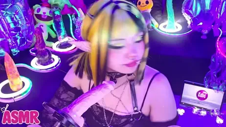 LaytonBox — Stripchat recorded stream image, 28.01.2026 14:10