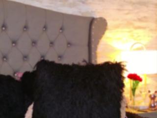 Kimberly Walton — Flirt4free recorded stream image, 03.03.2025 09:50