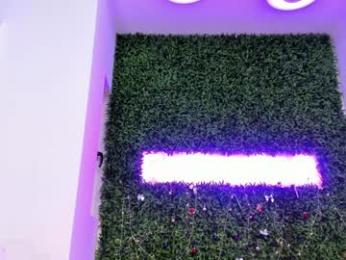 hotfallingdevil — Chaturbate recorded stream image, 29.01.2026 06:10