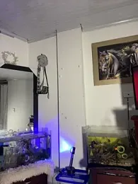 CRAZY-BOY99 — Stripchat recorded stream screenshot (29 Jan 2026)