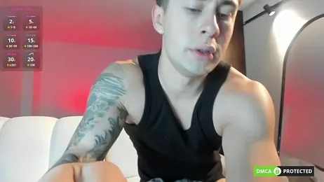 twinguys — Stripchat recorded stream screenshot (29 Jan 2026)