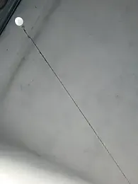 Srmotrs — Stripchat recorded stream screenshot (29 Jan 2026)