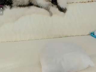 maryelle — Camsoda recorded stream image, 31.01.2026 19:40