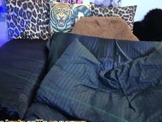 sofianiix — Camsoda recorded stream image, 01.02.2026 09:40