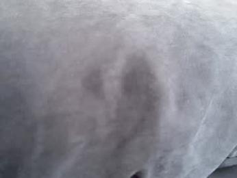 quantum_heart — Chaturbate recorded stream screenshot (04 Feb 2026)