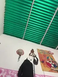 Pingasaboy20 — Stripchat recorded stream screenshot (05 Feb 2026)