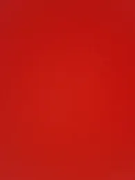 RobertoLuiz84 — Stripchat recorded stream image, 06.02.2026 01:40