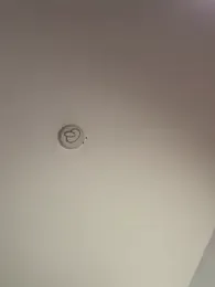 Andrestarr — Stripchat recorded stream screenshot (05 Feb 2026)