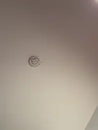 Andrestarr — Stripchat recorded stream screenshot (05 Feb 2026)