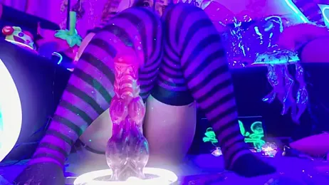 LaytonBox — Stripchat recorded stream image, 06.02.2026 14:20