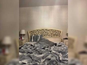 Tiger_07 — Bongacams recorded stream screenshot (12 Feb 2026)