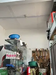 Paul22cm- — Stripchat recorded stream screenshot (12 Feb 2026)