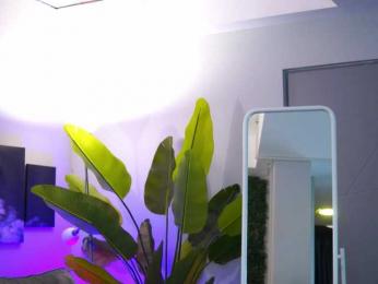 RaquelleVon — Bongacams recorded stream image, 14.02.2026 10:00