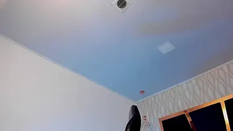 Petesevans — Stripchat recorded stream screenshot (16 Feb 2026)