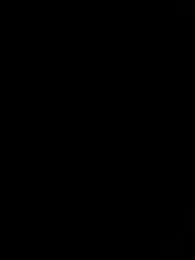 Rafael_Mendezz — Stripchat recorded stream screenshot (17 Feb 2026)