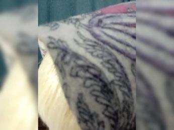 AlenkiyCvetochek — Bongacams recorded stream screenshot (18 Feb 2026)