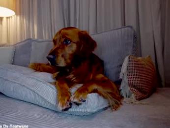 x_lily_x — Chaturbate recorded stream screenshot (19 Feb 2026)