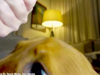 x_lily_x — Chaturbate recorded stream screenshot (19 Feb 2026)