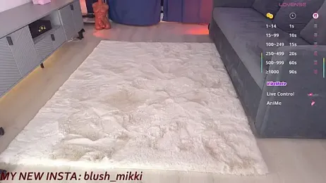 mikkixmeow — Stripchat recorded stream screenshot (19 Feb 2026)