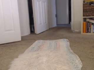 elegance — Camsoda recorded stream screenshot (19 Feb 2026)