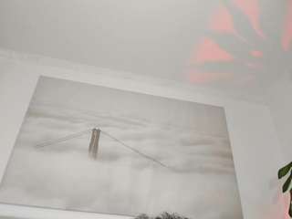 apotheosiss — Camsoda recorded stream image, 20.02.2026 08:10