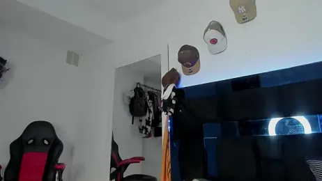 TysonWalkers — Stripchat recorded stream image, 21.02.2026 00:00