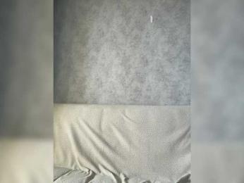 apple15promax — Bongacams recorded stream screenshot (21 Feb 2026)